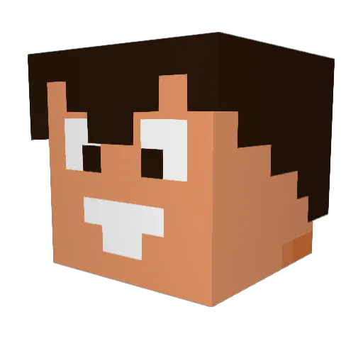 Niloc41 Minecraft avatar head, 3D render