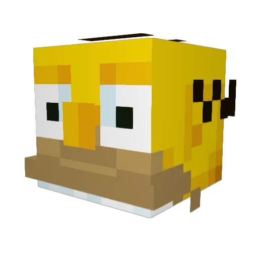 Nils12045 Minecraft avatar head, 3D render