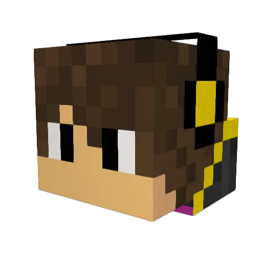 Nils2486 Minecraft avatar head, 3D render