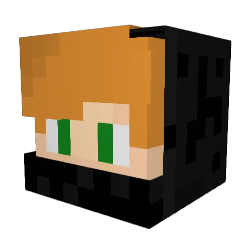 NilsHolgerssonN Minecraft avatar head, 3D render