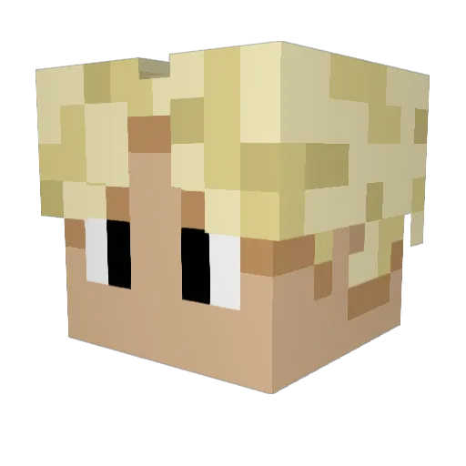 NilsMey Minecraft avatar head, 3D render
