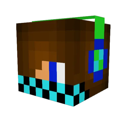 NilsMod Minecraft avatar head, 3D render