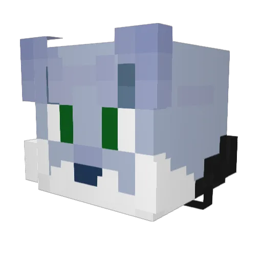 Nilsfuturo784 Minecraft avatar head, 3D render