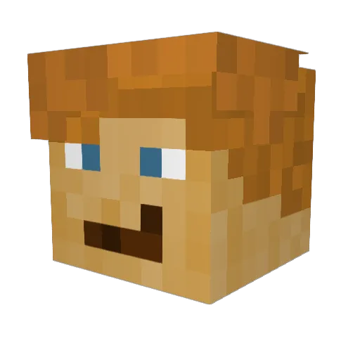 Nilsi_04 Minecraft avatar head, 3D render