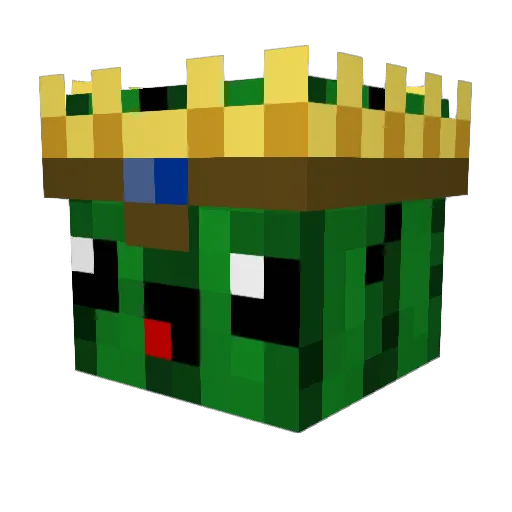 Nilsinus1909 Minecraft avatar head, 3D render