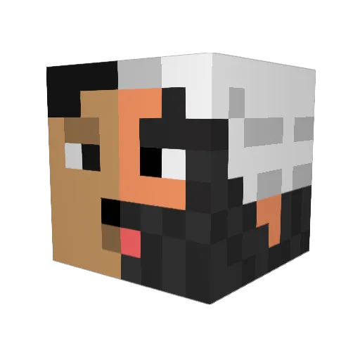 Nilskuproo Minecraft avatar head, 3D render