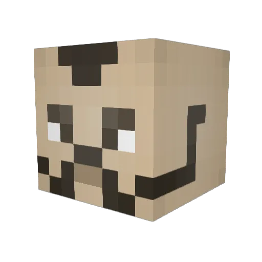 Nilspalo01 Minecraft avatar head, 3D render