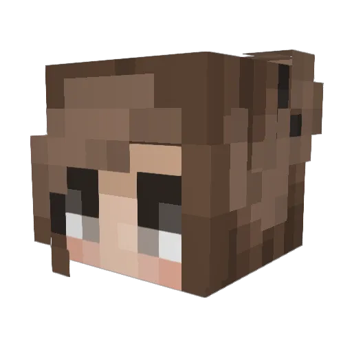 NilsuErkal Minecraft avatar head, 3D render