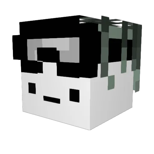 Nilszocker25 Minecraft avatar head, 3D render