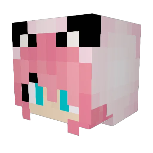 Nilufruit Minecraft avatar head, 3D render
