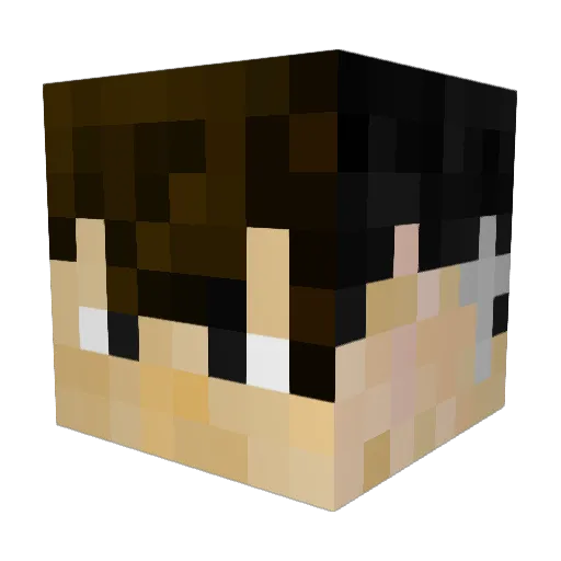 Niluu__ Minecraft avatar head, 3D render