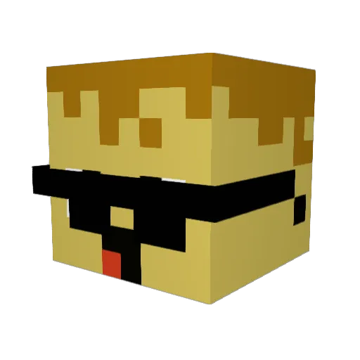 Nilz__ Minecraft avatar head, 3D render