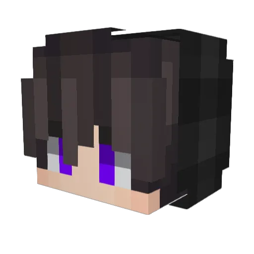Nilz_z Minecraft avatar head, 3D render
