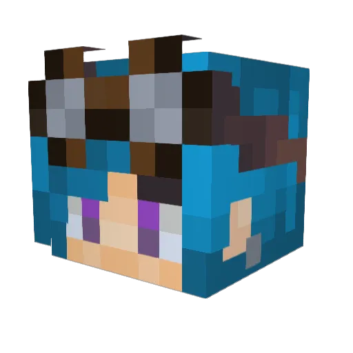 NimFlower19 Minecraft avatar head, 3D render