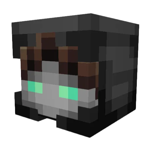 NimReaper2007 Minecraft avatar head, 3D render