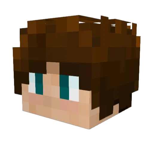 Nima_Master Minecraft avatar head, 3D render