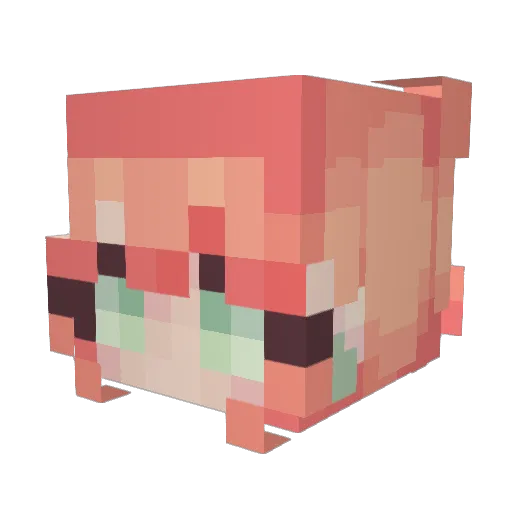NimarisVT Minecraft avatar head, 3D render