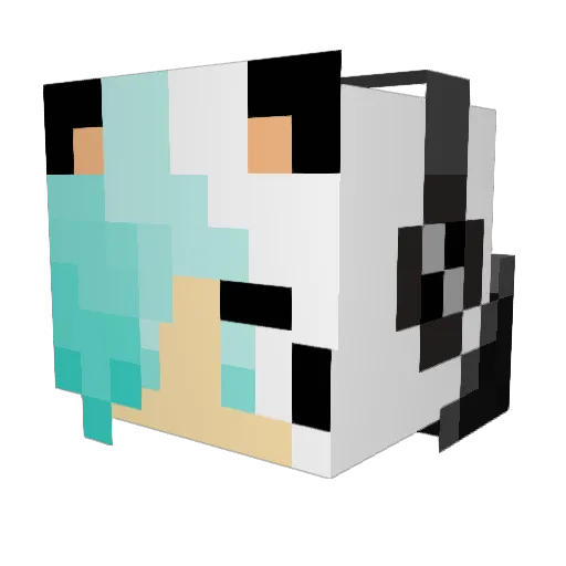 Nimbre1915 Minecraft avatar head, 3D render