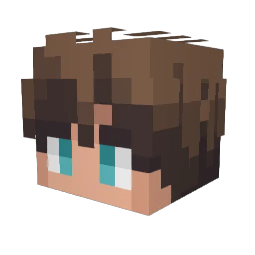 NimbusFlight Minecraft avatar head, 3D render