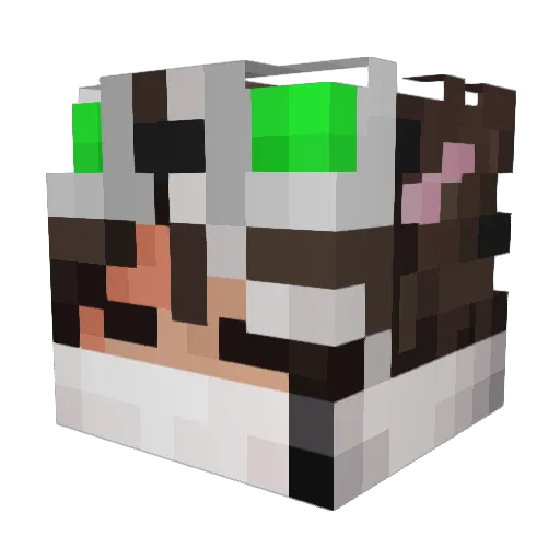 NimbusNim Minecraft avatar head, 3D render