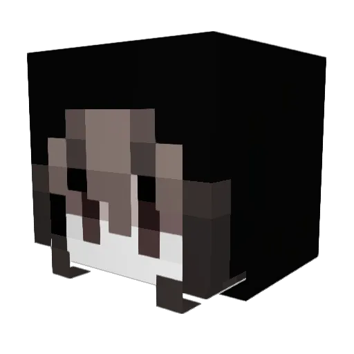 Nimeton2002 Minecraft avatar head, 3D render