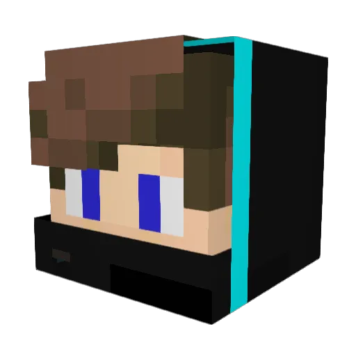 NimiSonic Minecraft avatar head, 3D render
