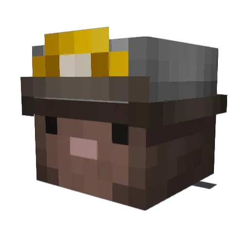Nimic_ Minecraft avatar head, 3D render