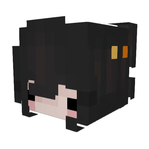 Nimjinn Minecraft avatar head, 3D render