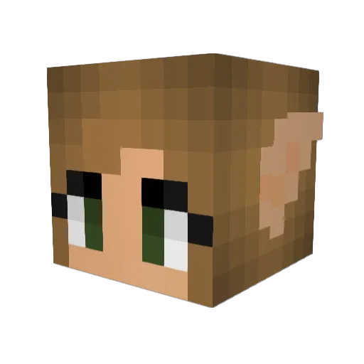Nimmsy Minecraft avatar head, 3D render