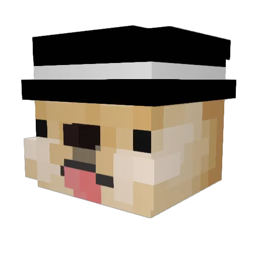 Nimmyj Minecraft avatar head, 3D render