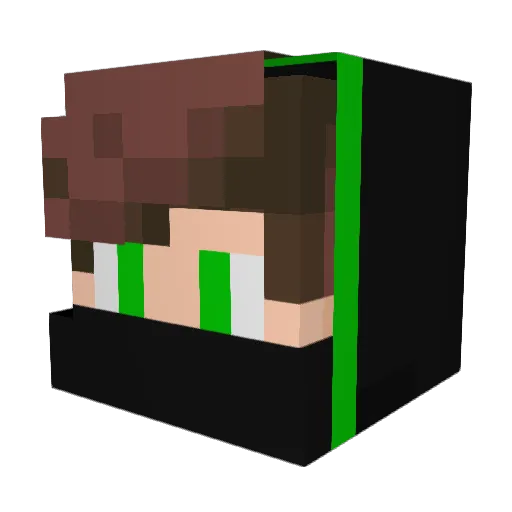 Nimo2805 Minecraft avatar head, 3D render