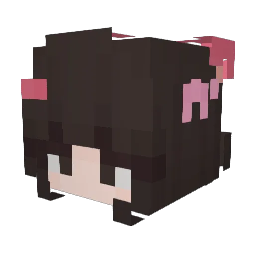 NimoTR Minecraft avatar head, 3D render