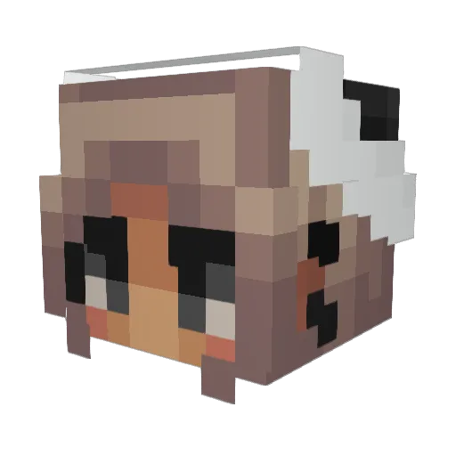Nimolt Minecraft avatar head, 3D render