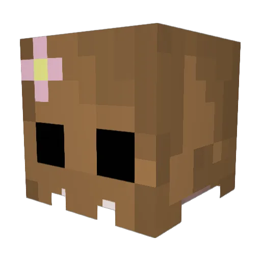 Nimpocalypse Minecraft avatar head, 3D render