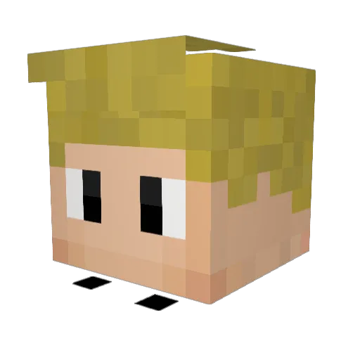 Nimra4 Minecraft avatar head, 3D render