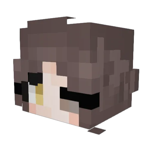 Nimsay____ Minecraft avatar head, 3D render