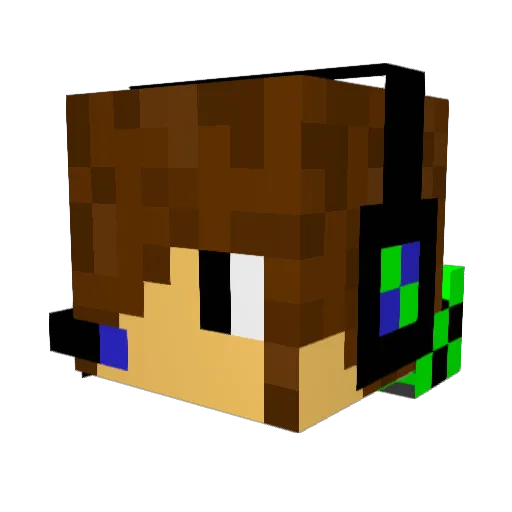 Nin10dogeek64 Minecraft avatar head, 3D render
