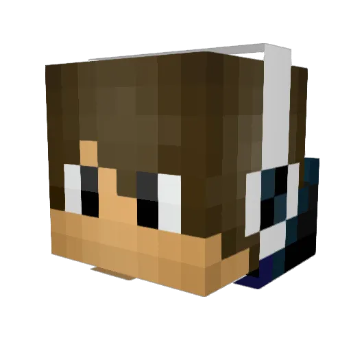 NinJa_DinGoo Minecraft avatar head, 3D render