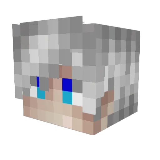NinJan208 Minecraft avatar head, 3D render