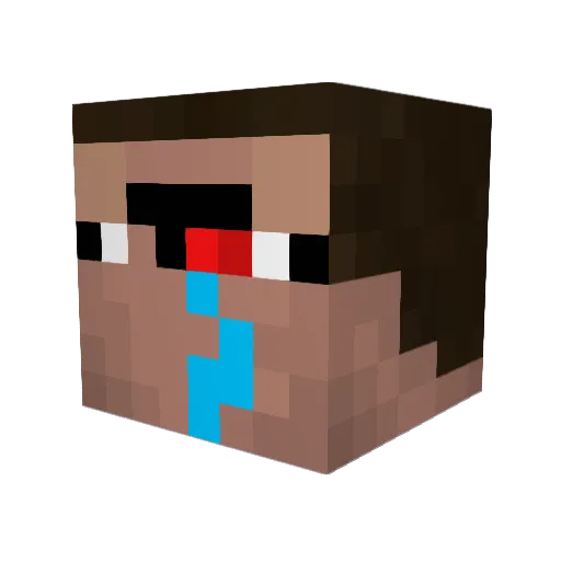 NinNin3 Minecraft avatar head, 3D render