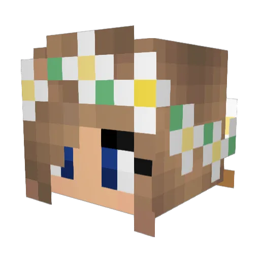 NinPrzy Minecraft avatar head, 3D render