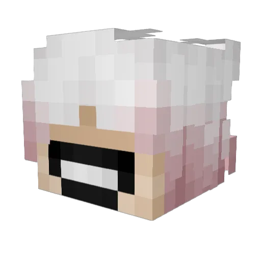 NinZAI Minecraft avatar head, 3D render