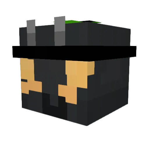Nin_XD Minecraft avatar head, 3D render