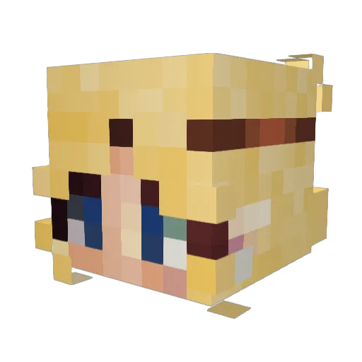 Nina2448 Minecraft avatar head, 3D render