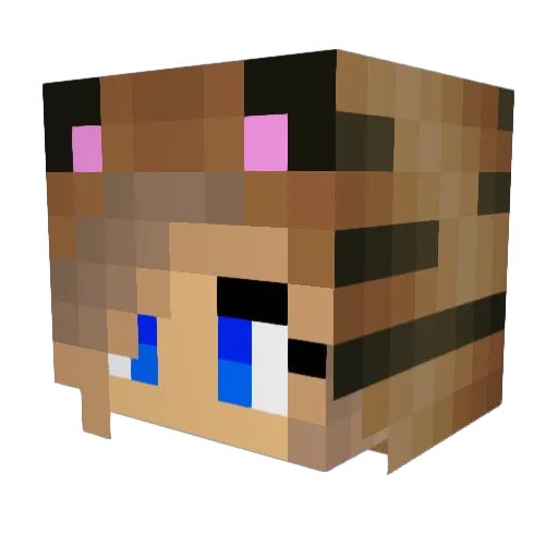Nina999 Minecraft avatar head, 3D render