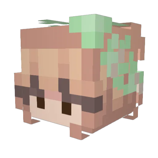 NinaMerlis Minecraft avatar head, 3D render