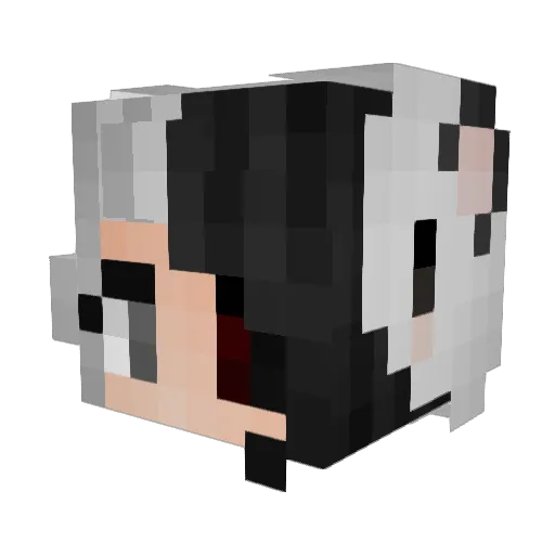 Nina__Nina Minecraft avatar head, 3D render