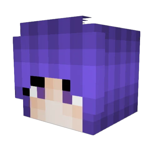 Ninalexander Minecraft avatar head, 3D render