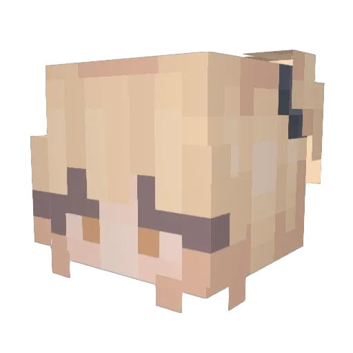 Ninatje_ Minecraft avatar head, 3D render