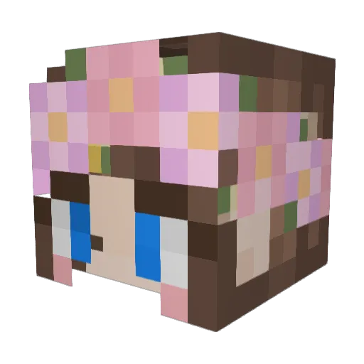 Ninayeye Minecraft avatar head, 3D render